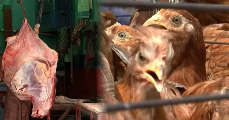 মাংস ও মুরগির বাজারের ছবি